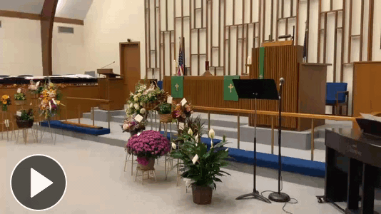 Click here to view your video