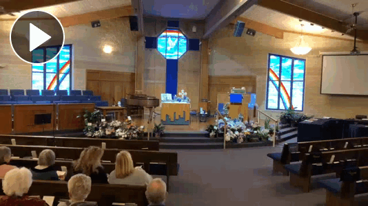 Click here to view your video