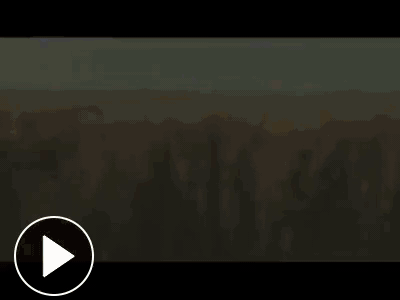 Click here to view your video