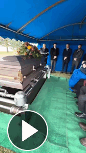 Click here to view your video